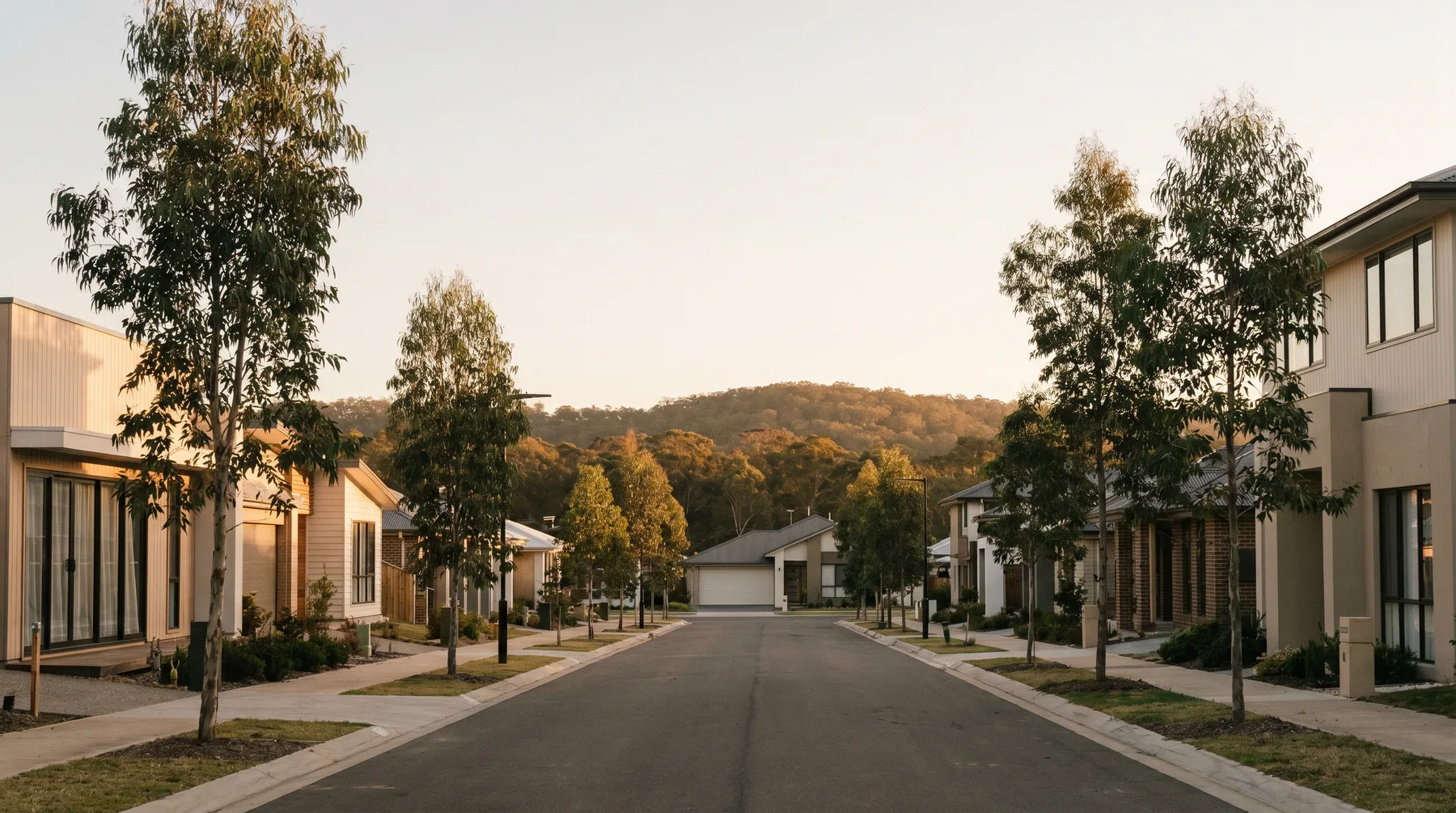 A new estate street in Morisset with modern homes and young street trees